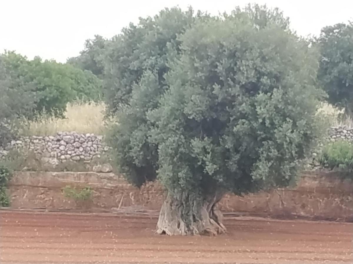 Masseria Auina 호텔 파사노 외부 사진