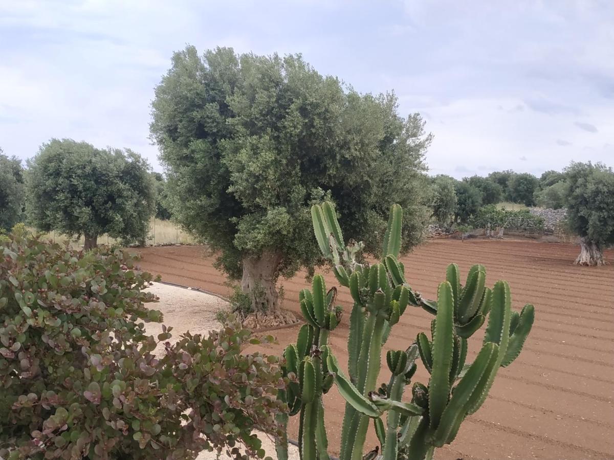 Masseria Auina 호텔 파사노 외부 사진